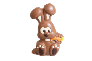 Grand lapichou 160mm 140g