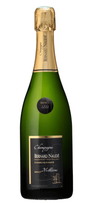 Bernard Naudé Brut Millésimé Esprit 2011