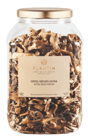 Cèpes séchés Extra