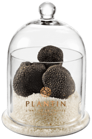 Cloche à truffes