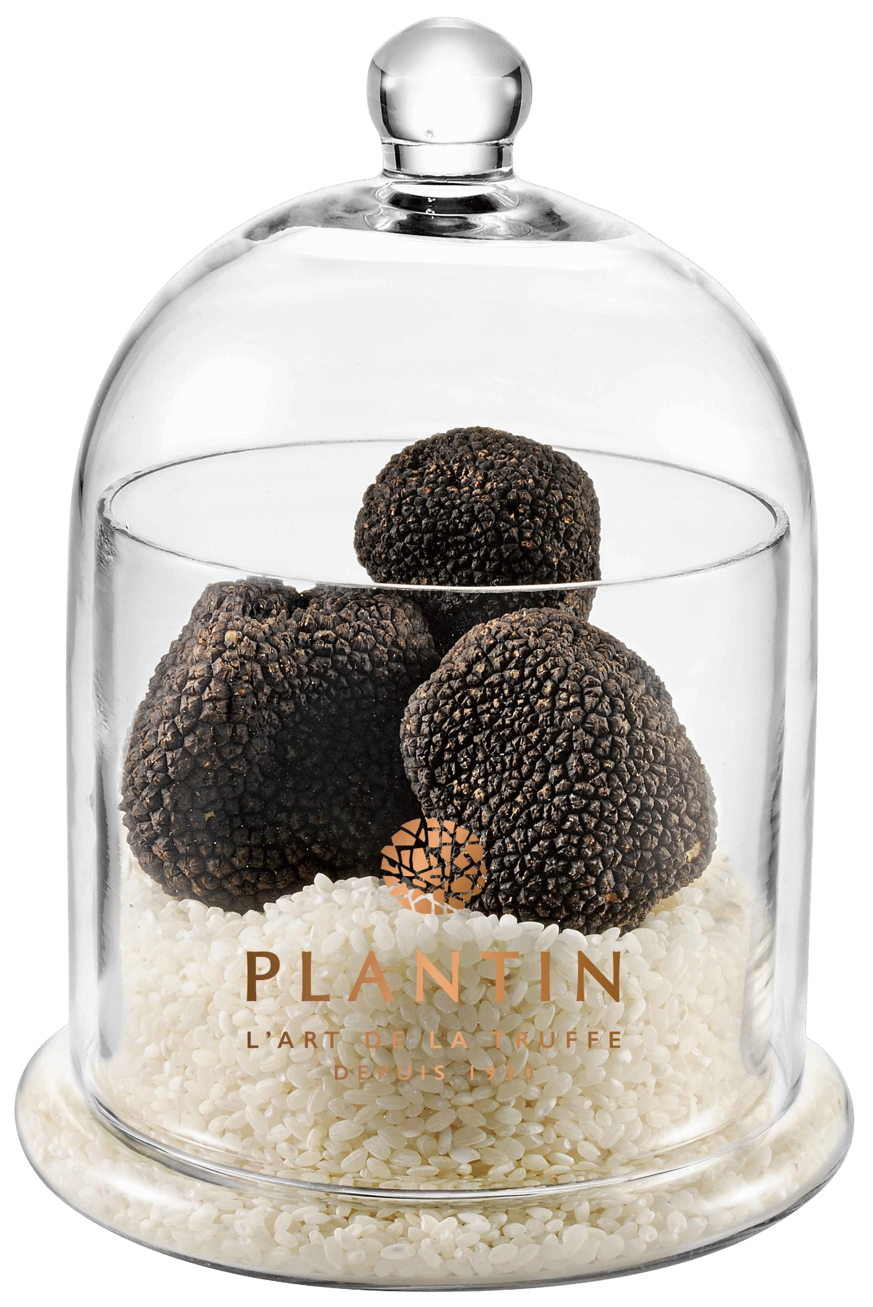 Cloche à truffes