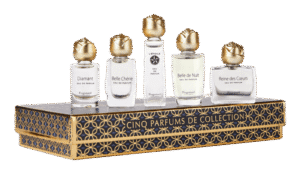 Coffret 5 miniatures de collection